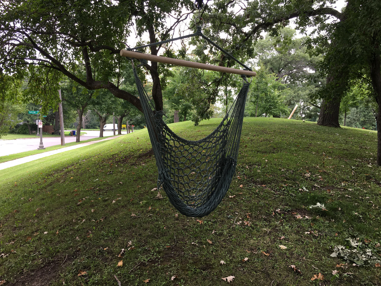 Green Hammock Chair